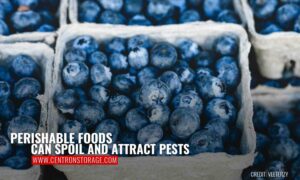 Perishable foods can spoil and attract pests